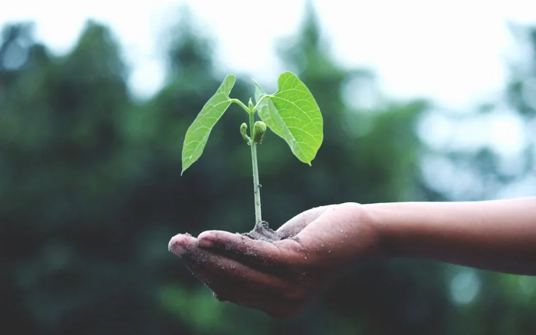 The Future of Agriculture, Elevate Farms – Automated Vertical Farming System